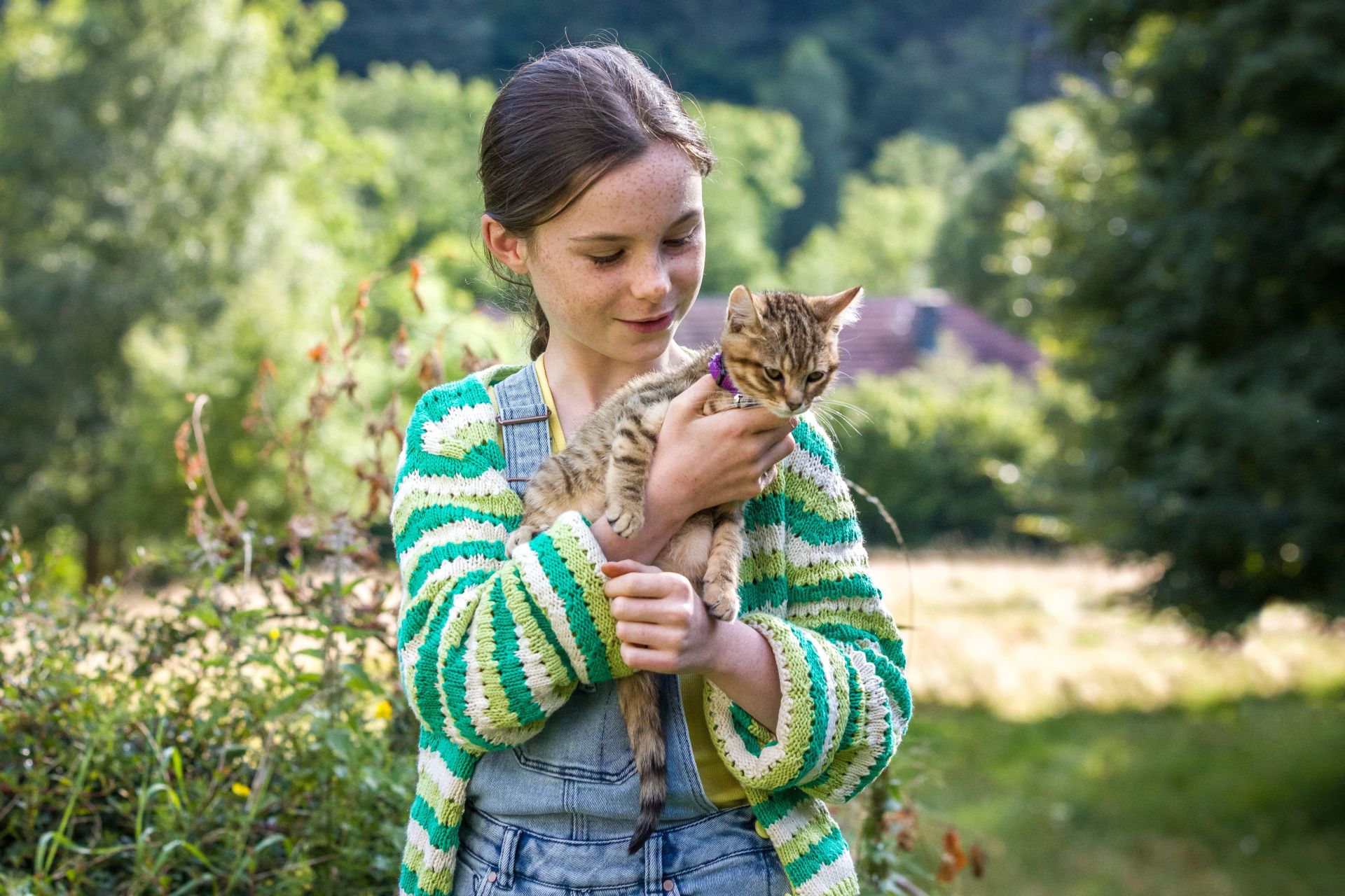 ルー、パリで生まれた猫 - ひとシネマ